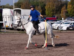 IMG_7212_web